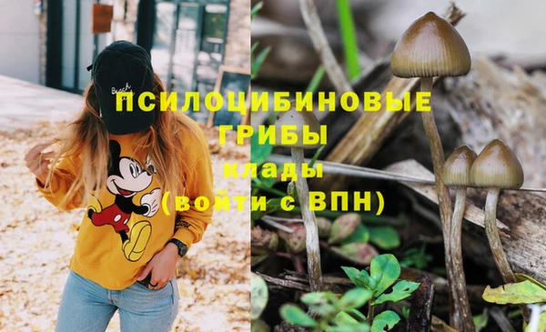 кокаин премиум Козельск
