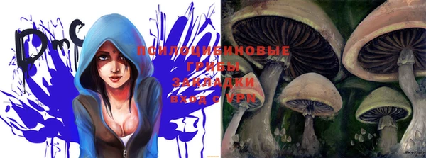 шишки Киреевск