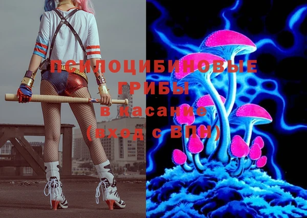 шишки Киреевск