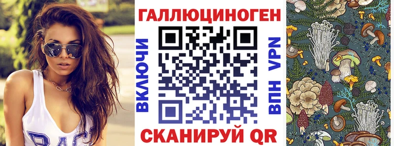 Псилоцибиновые грибы мицелий  Купить закладки  Баксан 