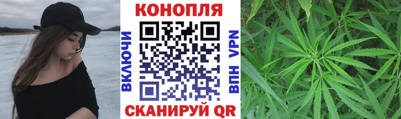 Купить  Баксан  Бошки Шишки индика 